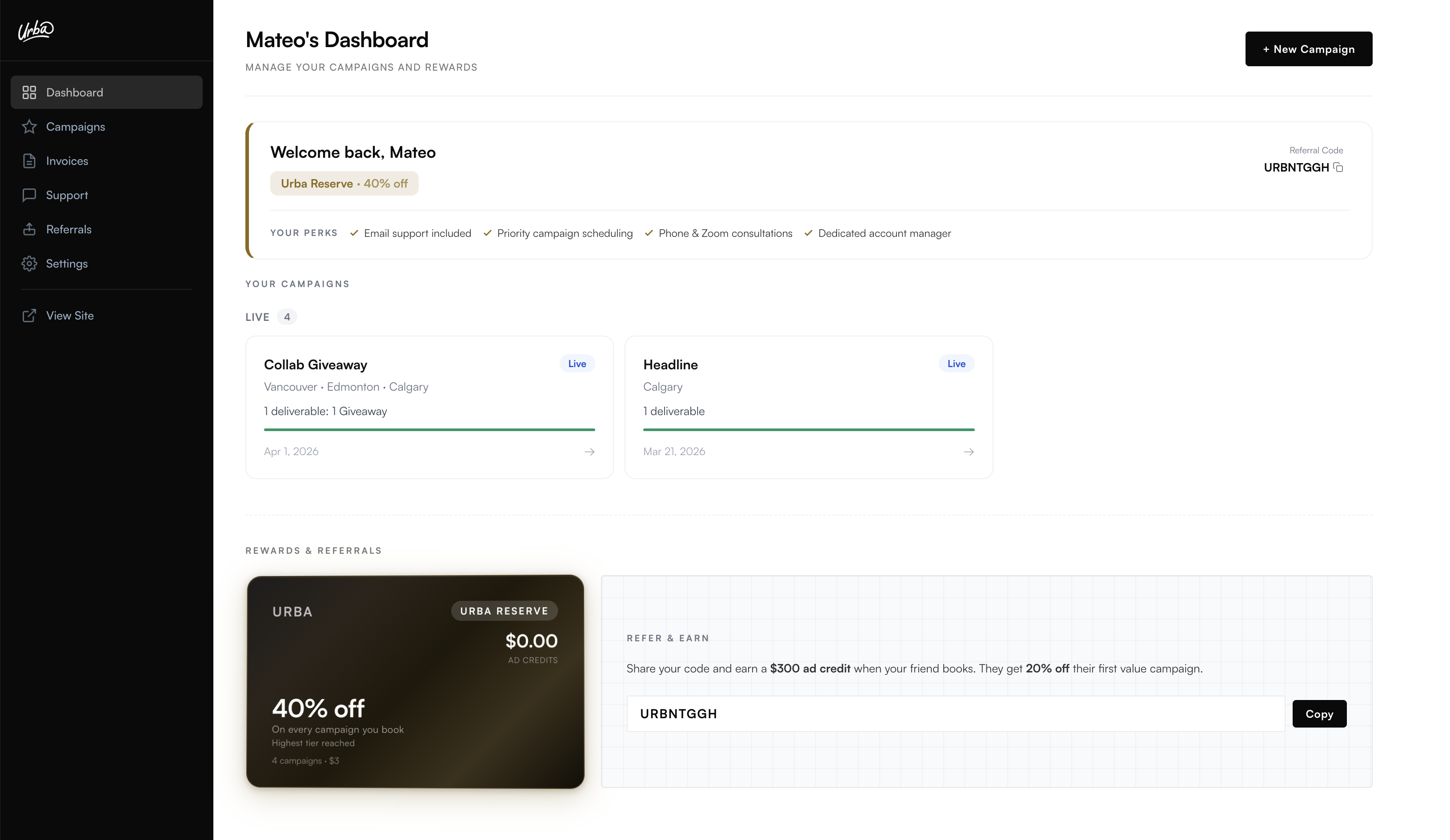 Client dashboard with campaign overview